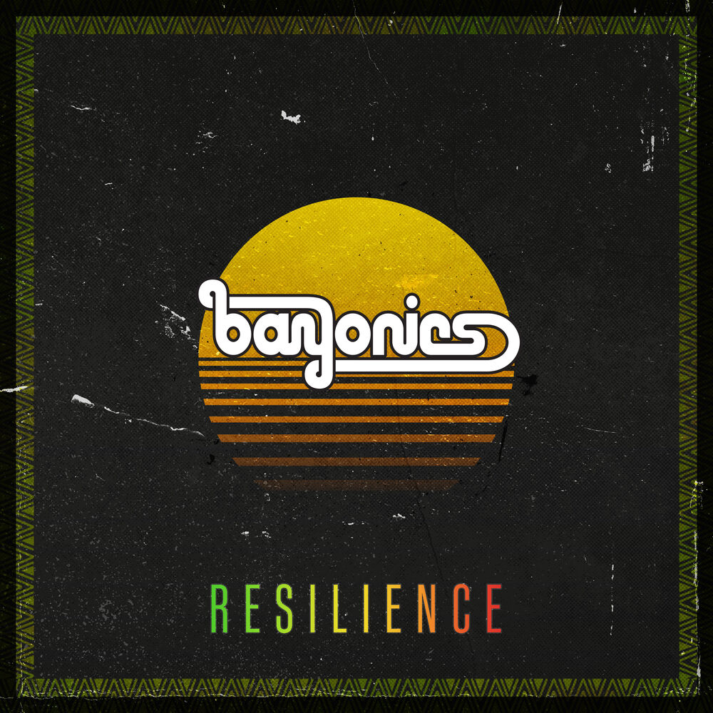 Picture of Resilience