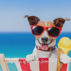 Cover of Dog Days of Summer Serenade
