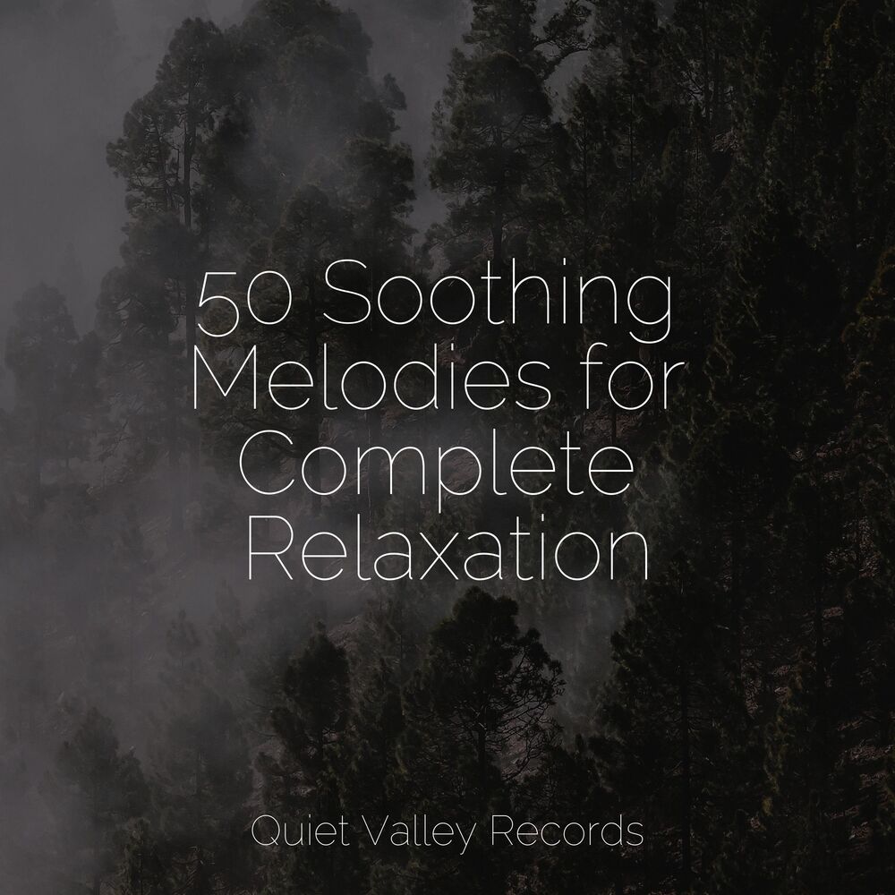 Picture of 50 Soothing Melodies for Complete Relaxation