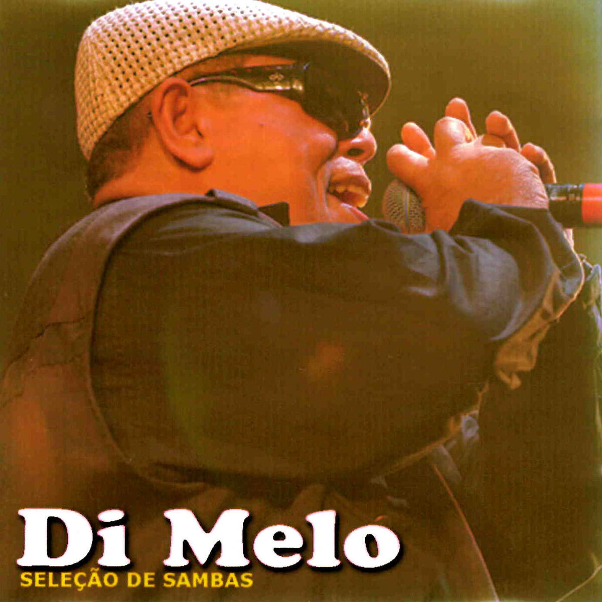Album cover of Seleção de Sambas