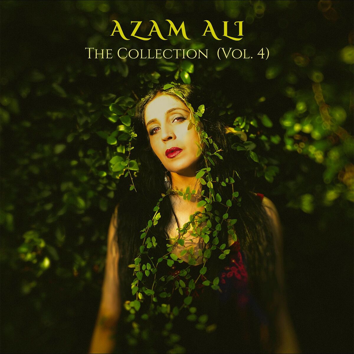 Album cover of The Collection, Vol. 4