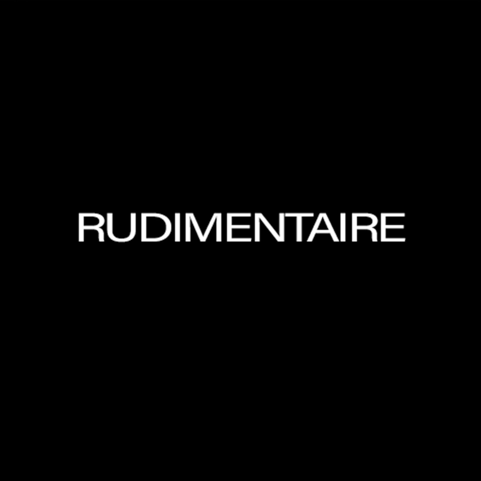Album cover of Rudimentaire (feat. SEV')