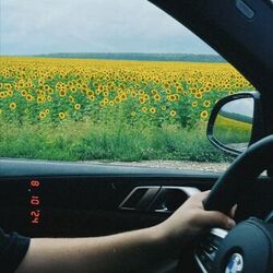 Cover of Slow Life