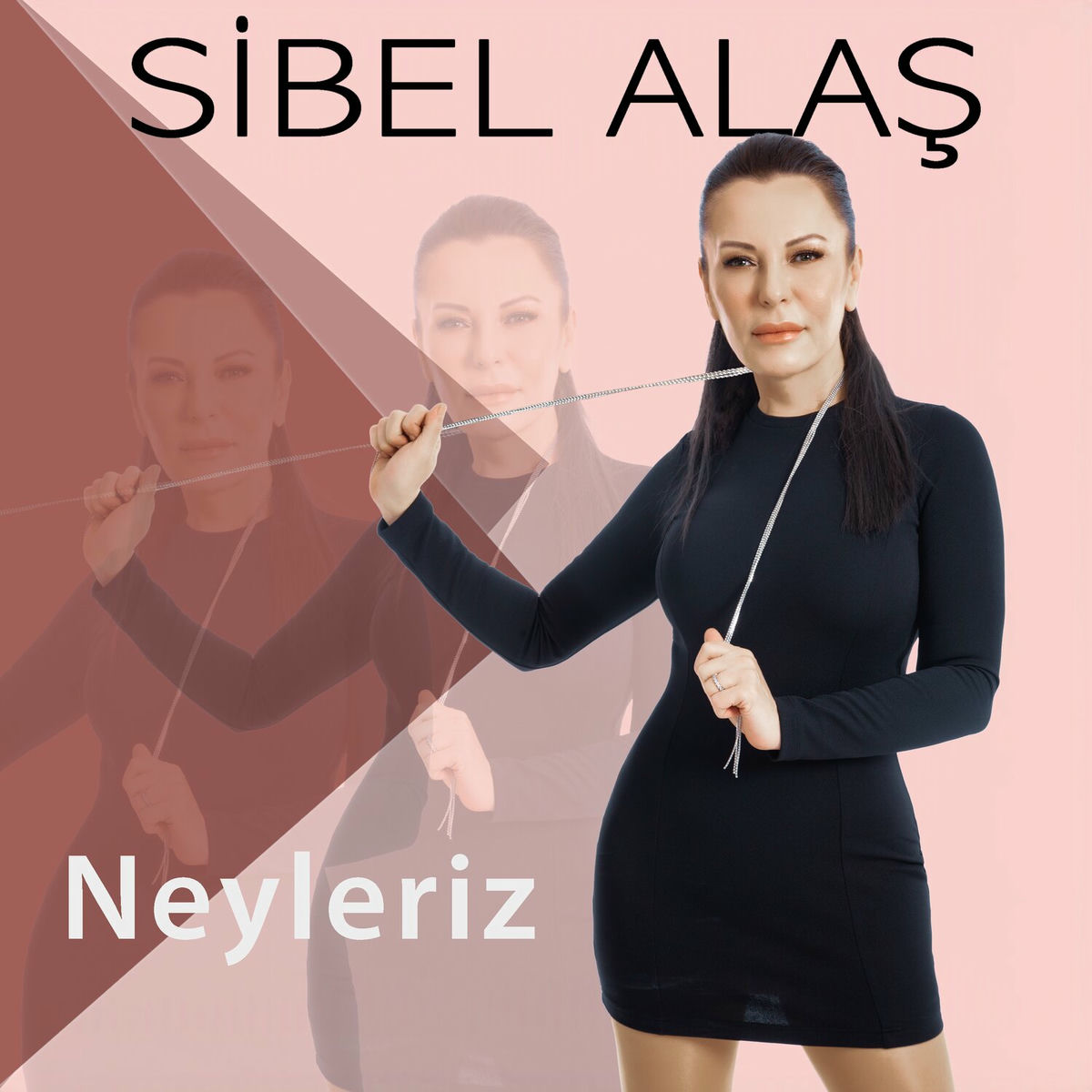 Album cover of Neyleriz