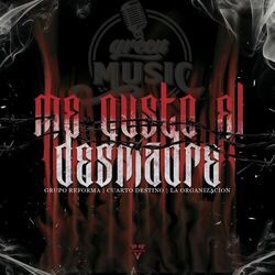 Cover of Me Gusto el Desmadre