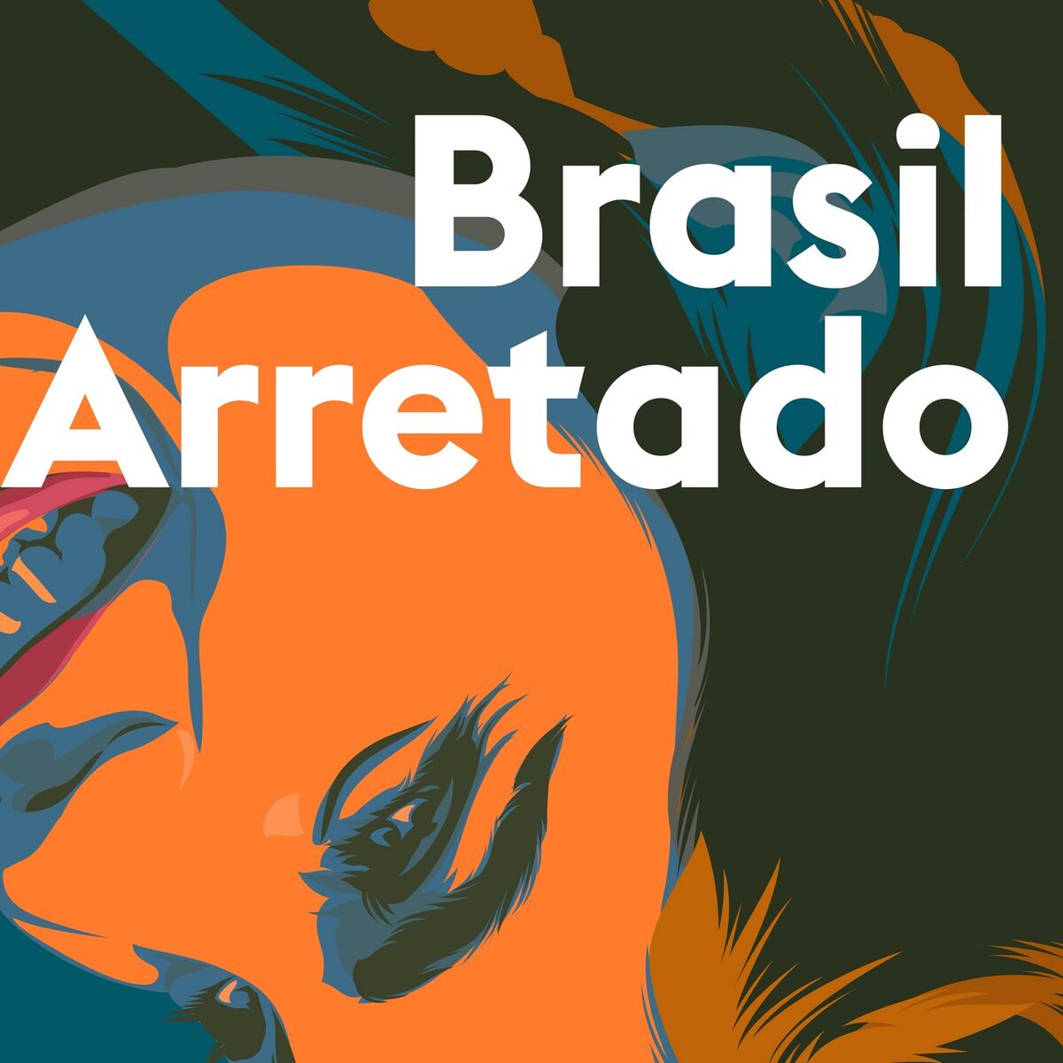Album cover of Brasil Arretado