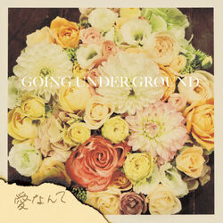 Cover of Ai Nante