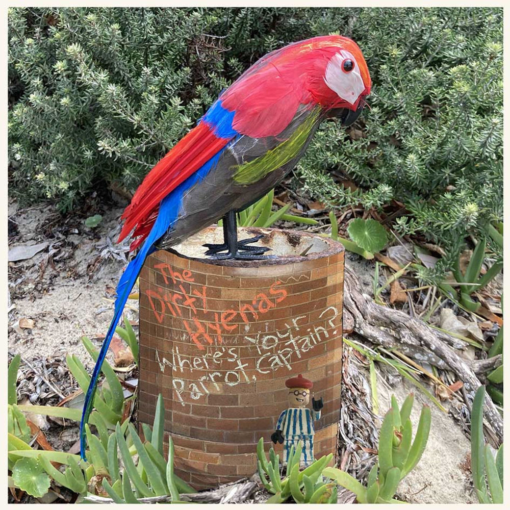 Album artwork for Where's Your Parrot, Captain? by The Dirty Hyenas