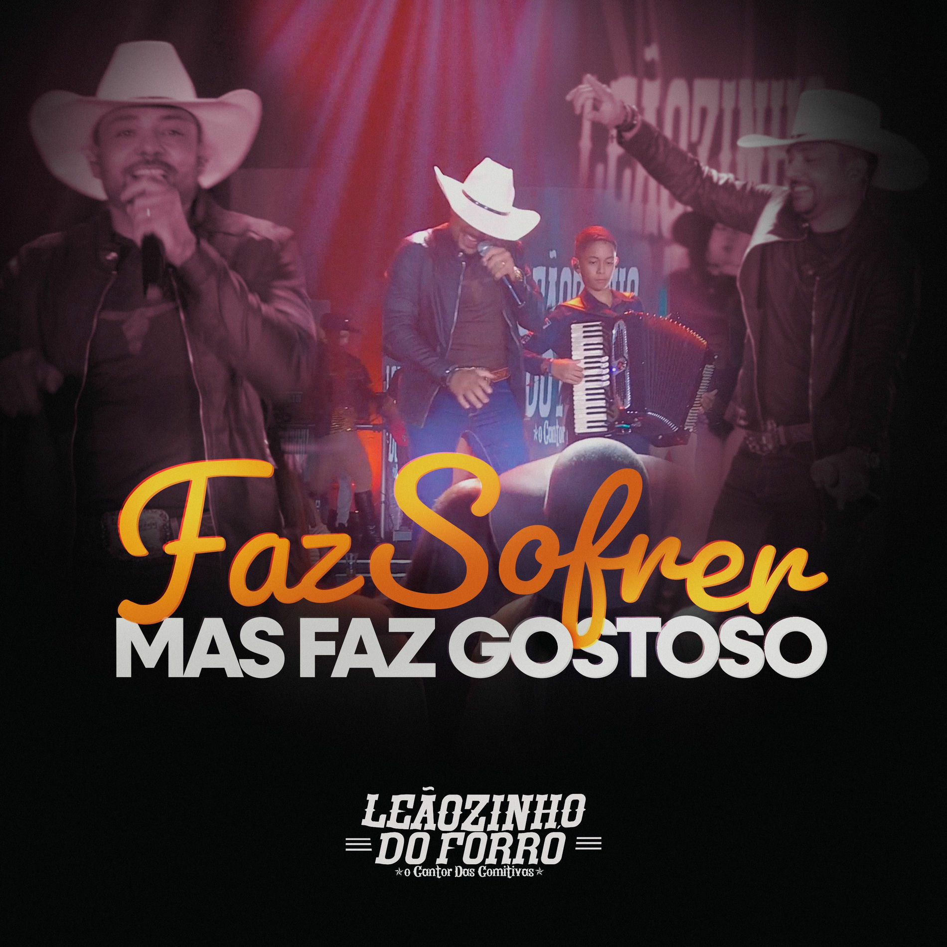 Album cover of Faz Sofrer, Mas Faz Gostoso (Ao Vivo)