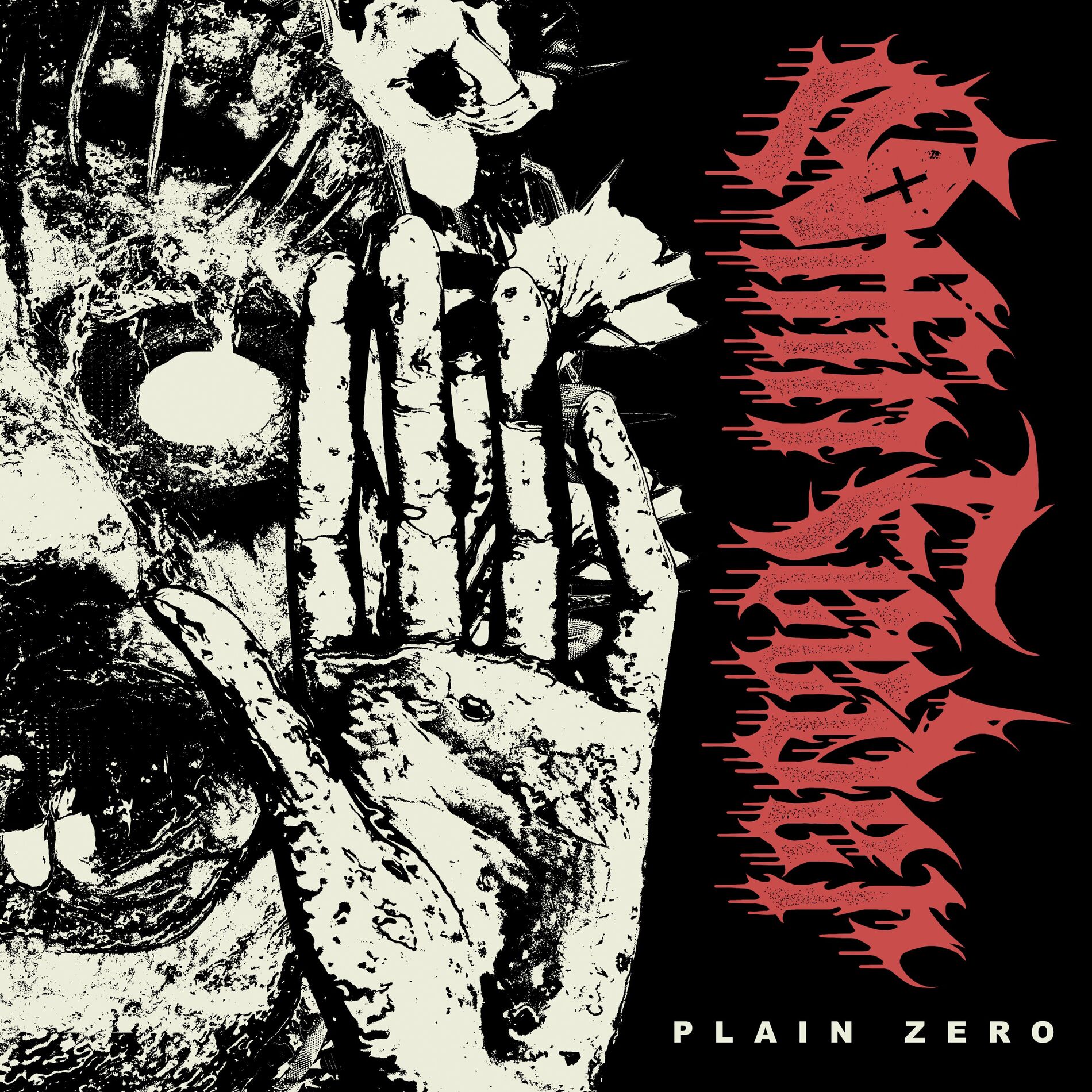 Album cover of Plain Zero
