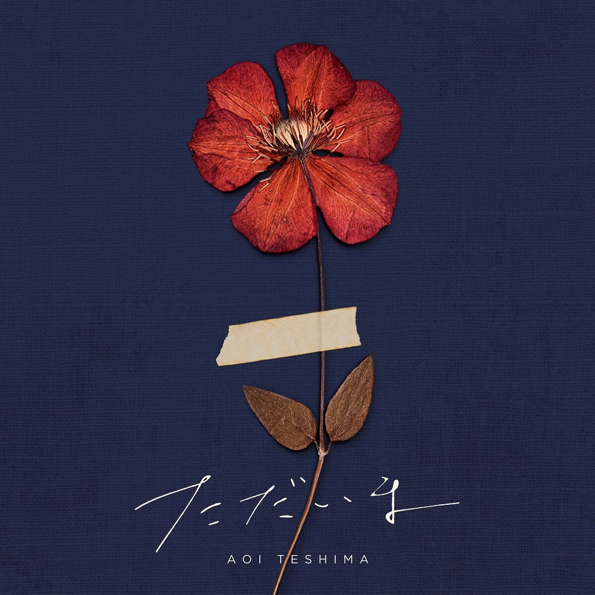Album cover of Tadaima