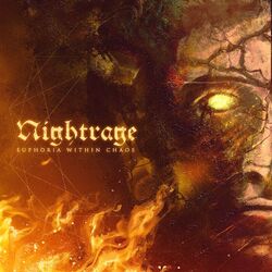 Cover of Euphoria Within Chaos