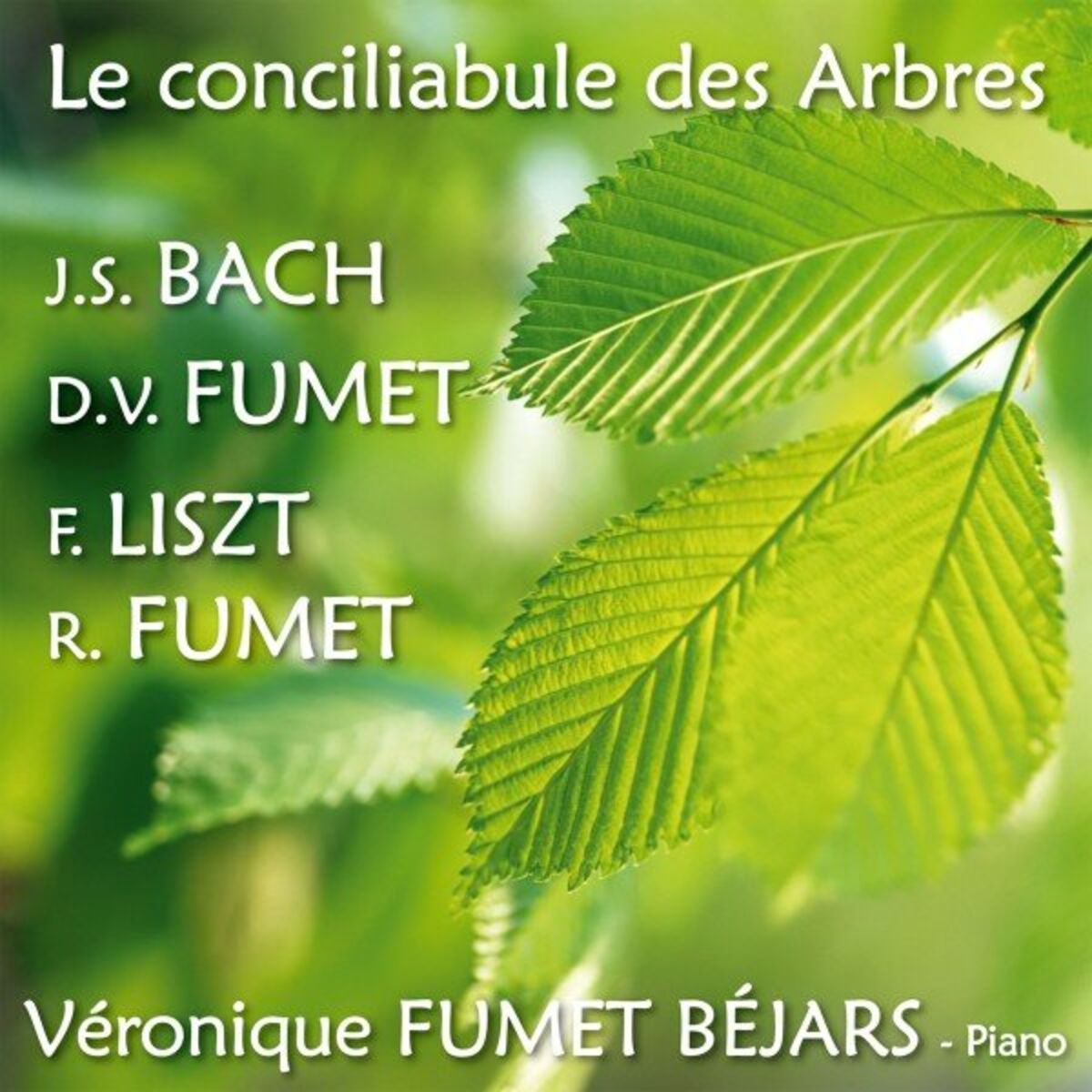 Album cover of Le conciliabule des Arbres