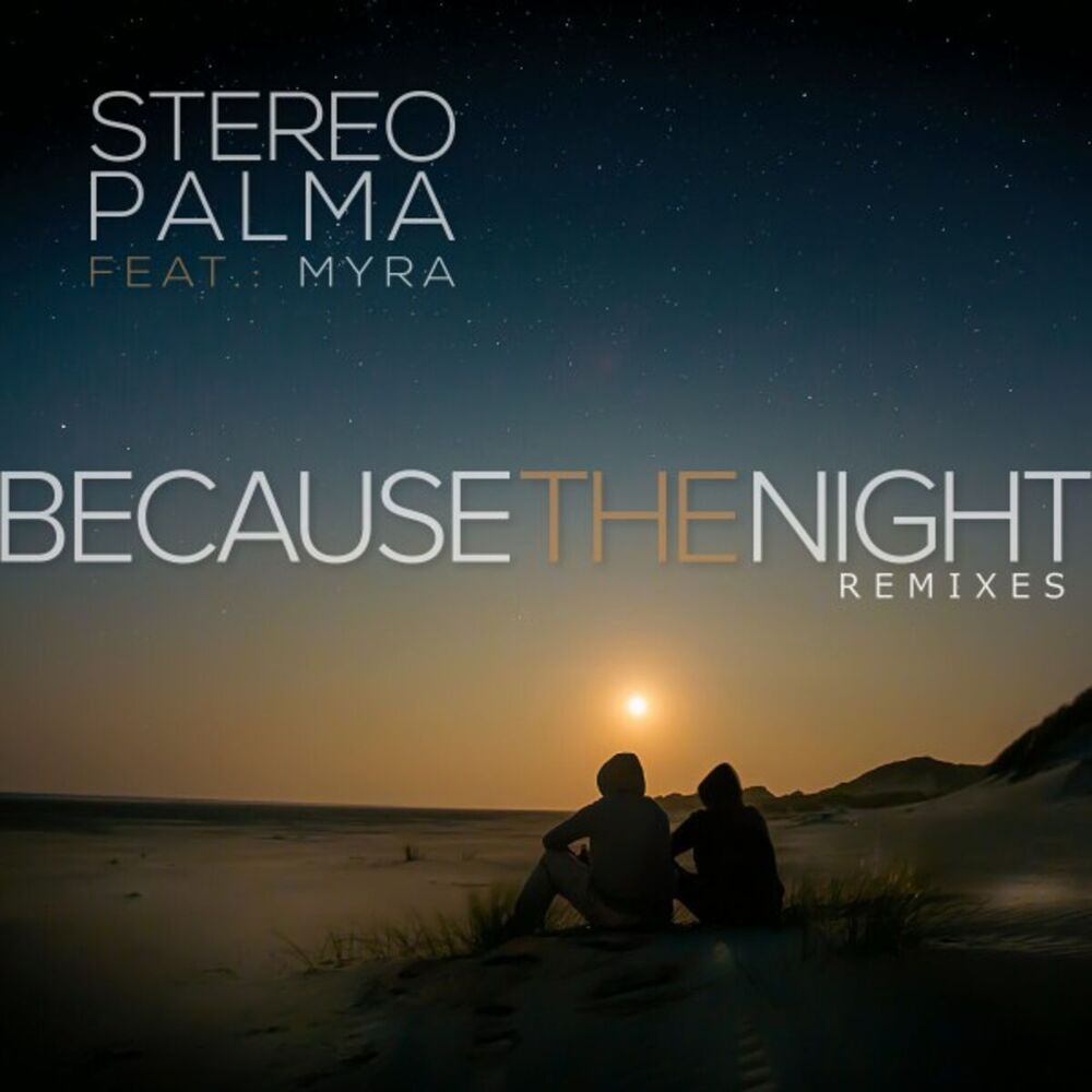 Picture of Because the Night (Remixes)
