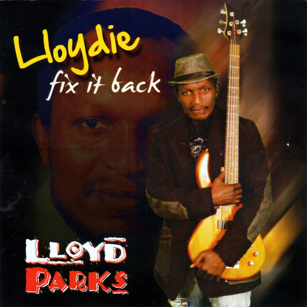 Picture of Lloydie Fix It Back