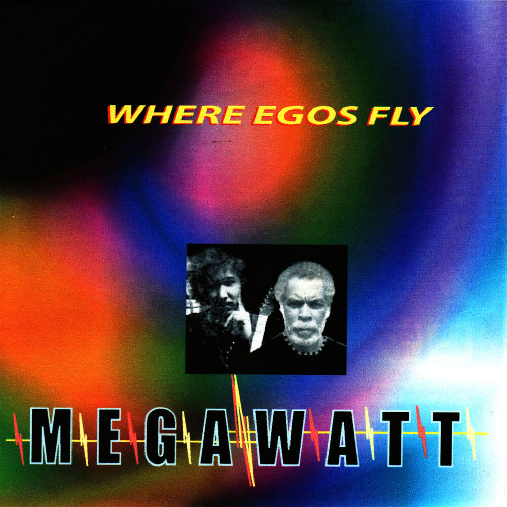 Picture of Where Egos Fly