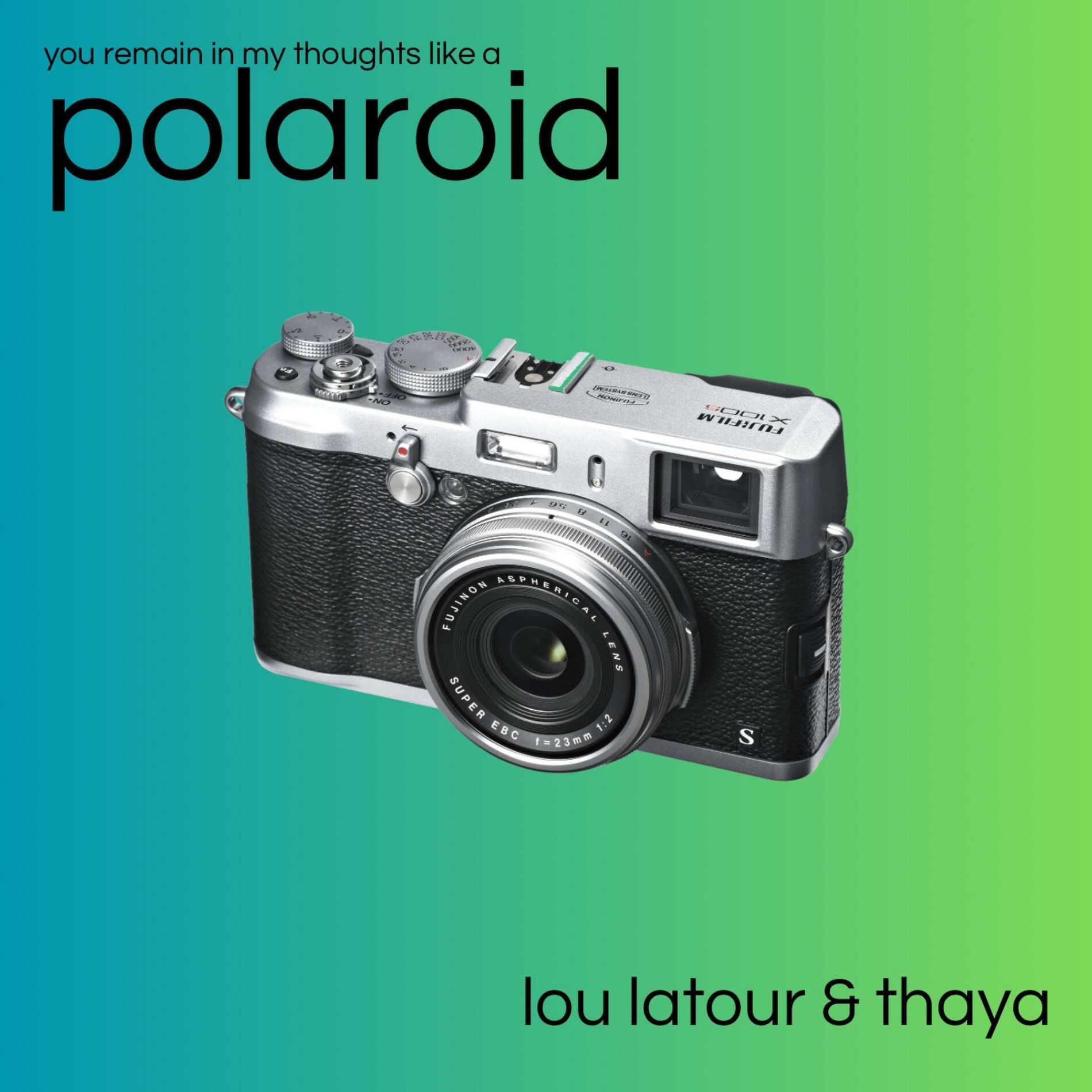Album cover of Polaroid