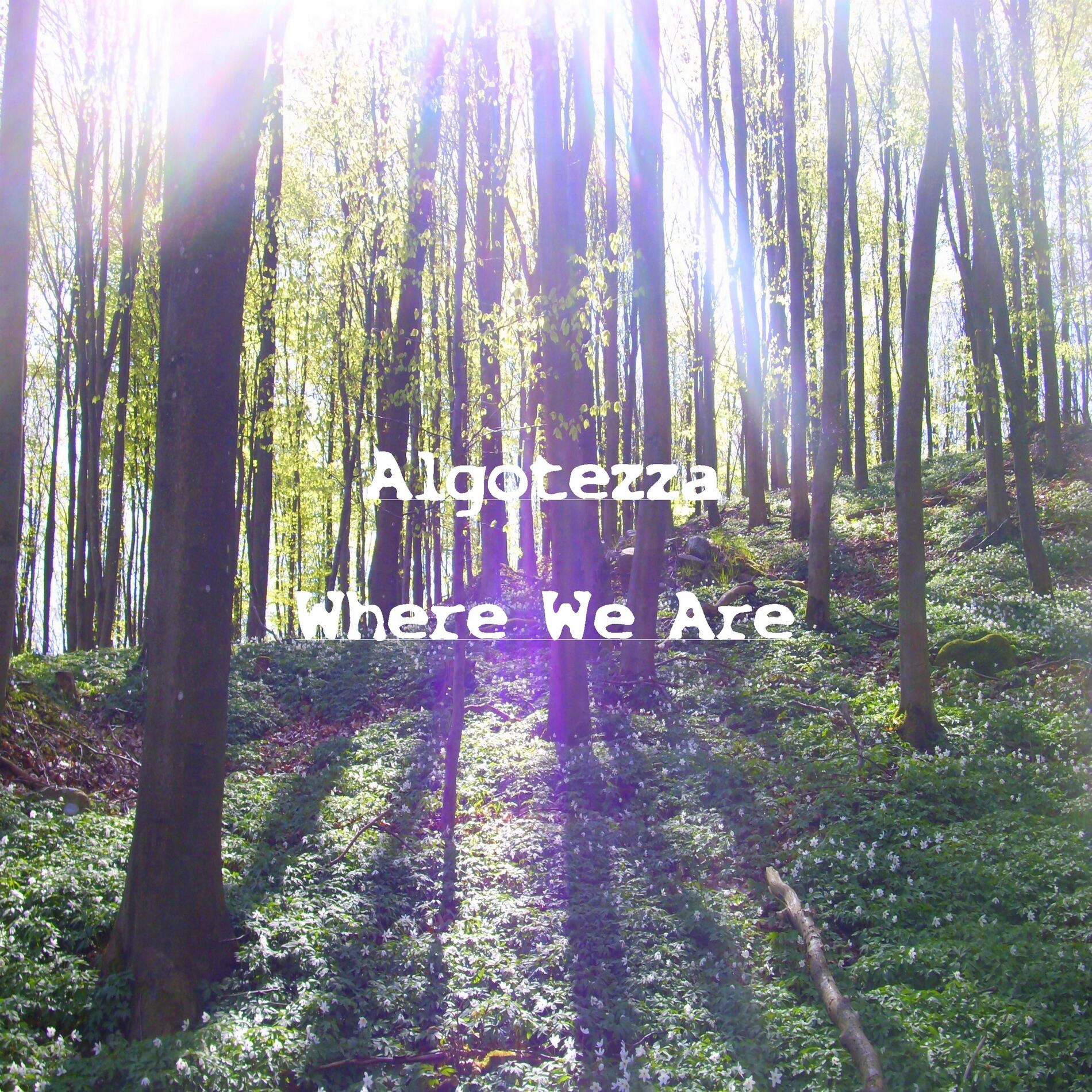 Album cover of Where We Are