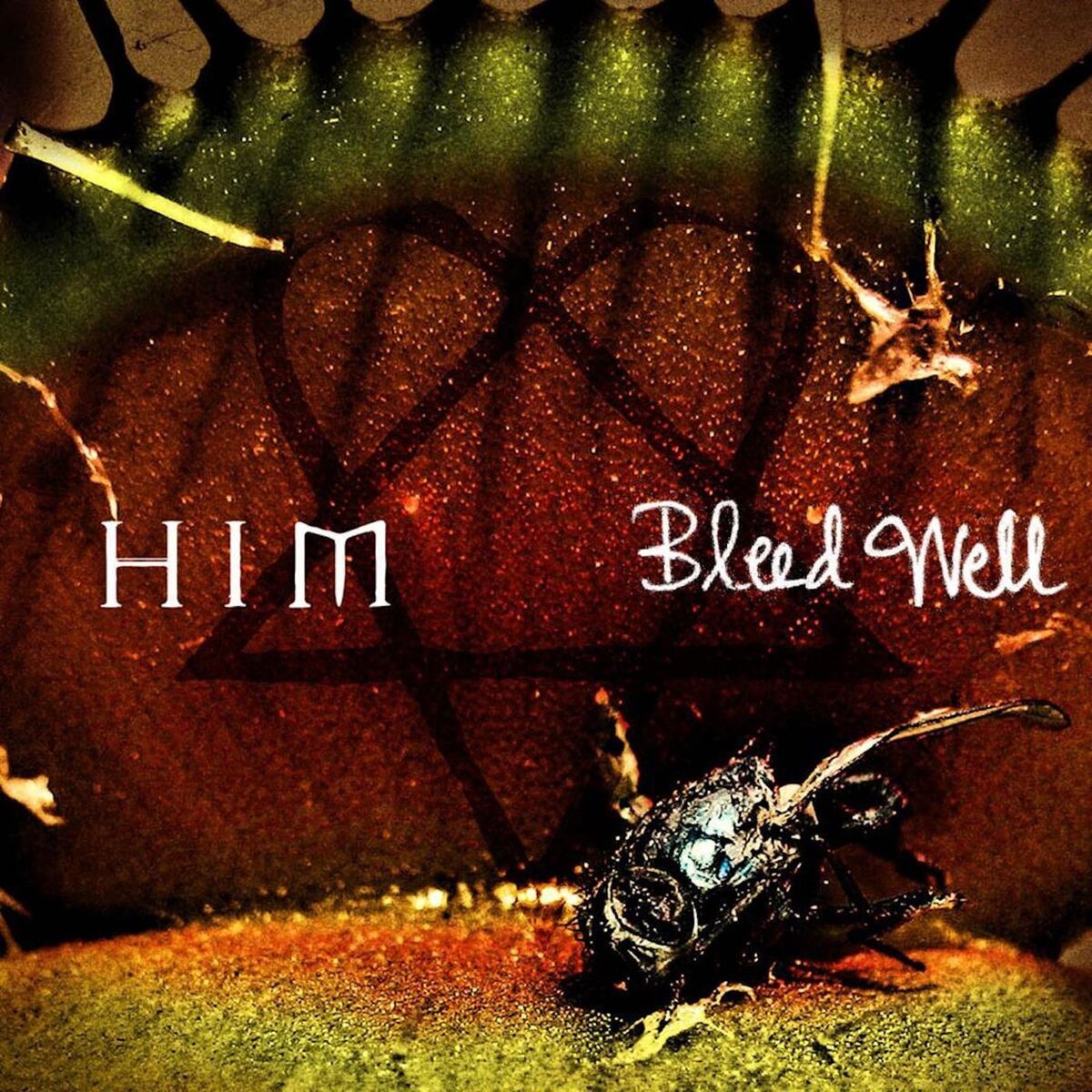 Album cover of Bleed Well