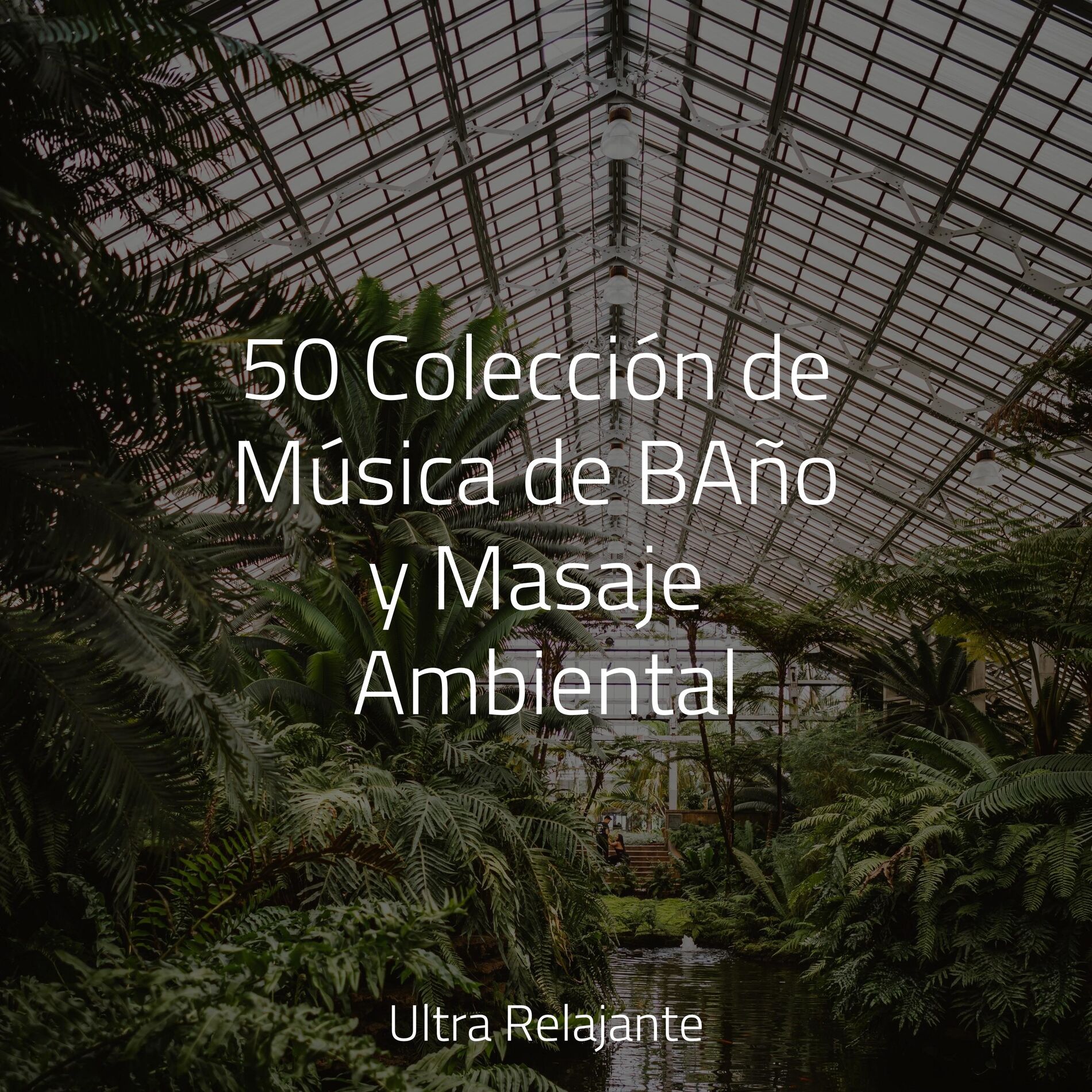 Album cover of 50 Colección de Música de BAño y Masaje Ambiental