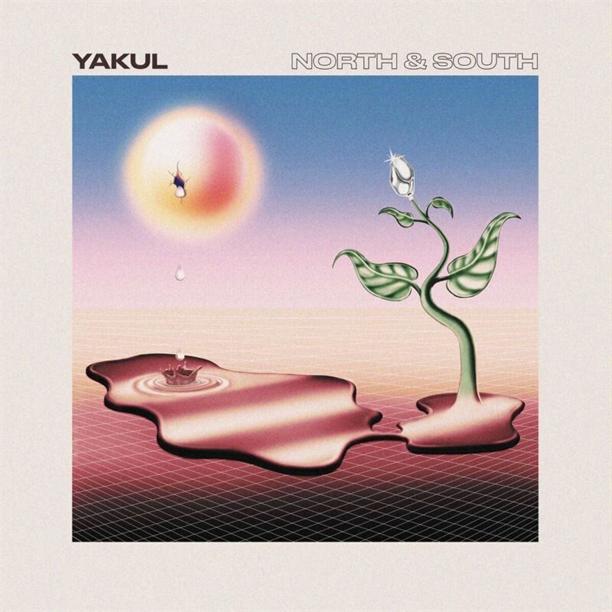 Album cover of North & South