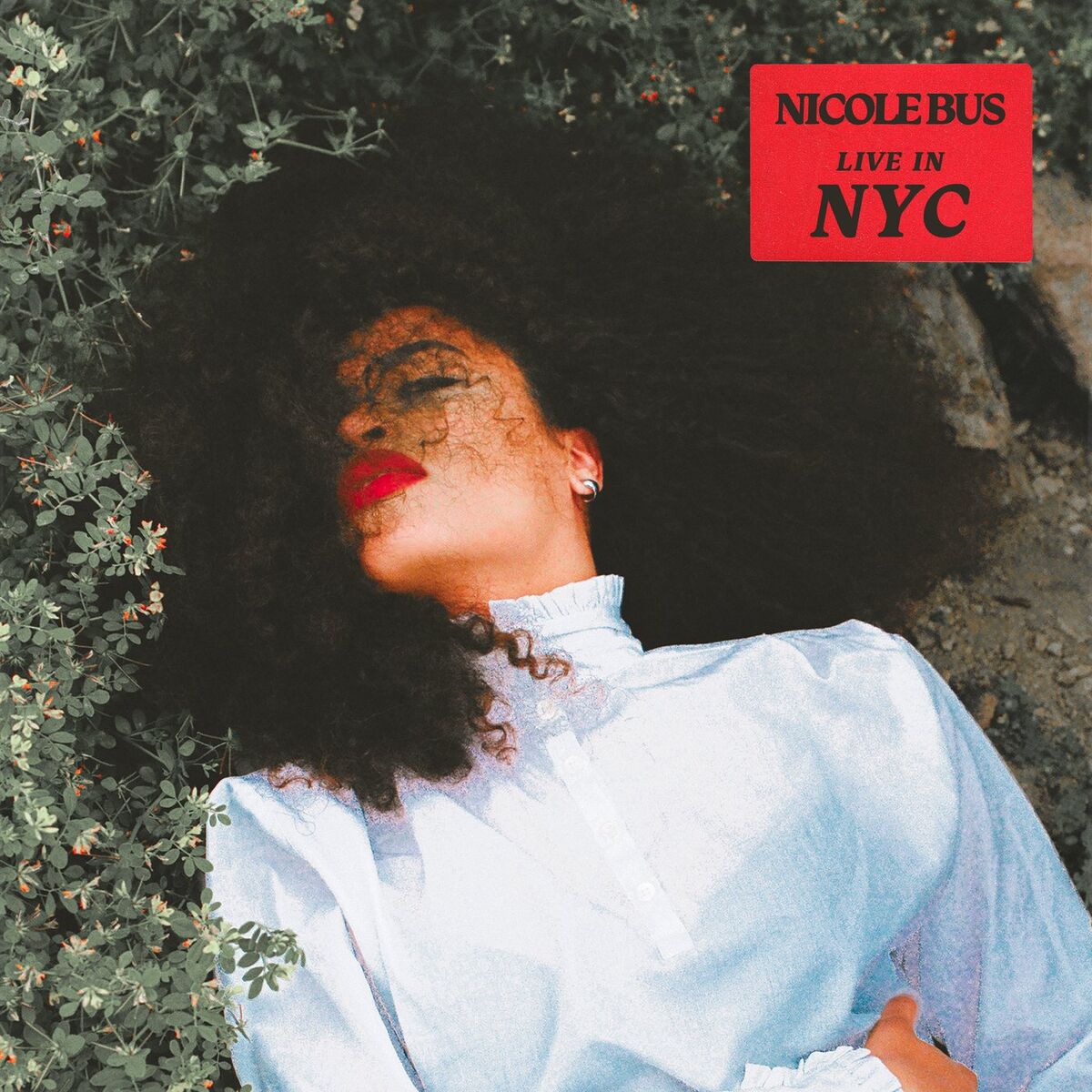 Album cover of S.O.S