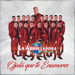 Cover of Ojalá Que Te Enamores