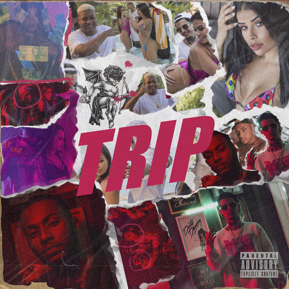 Picture of Trip