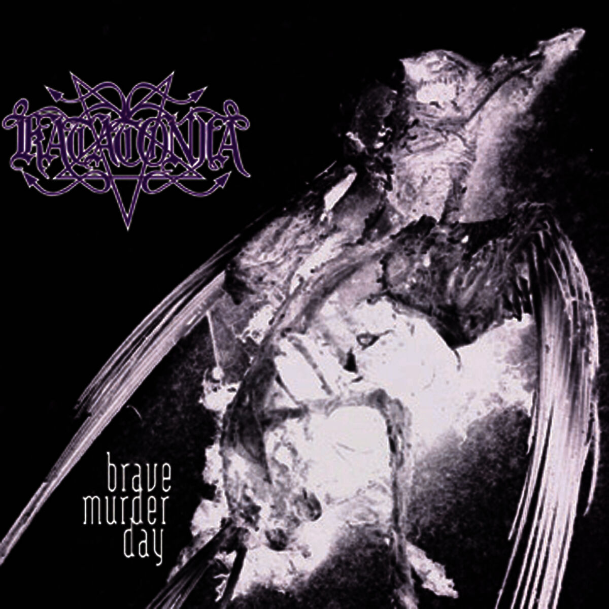 Album cover of Brave