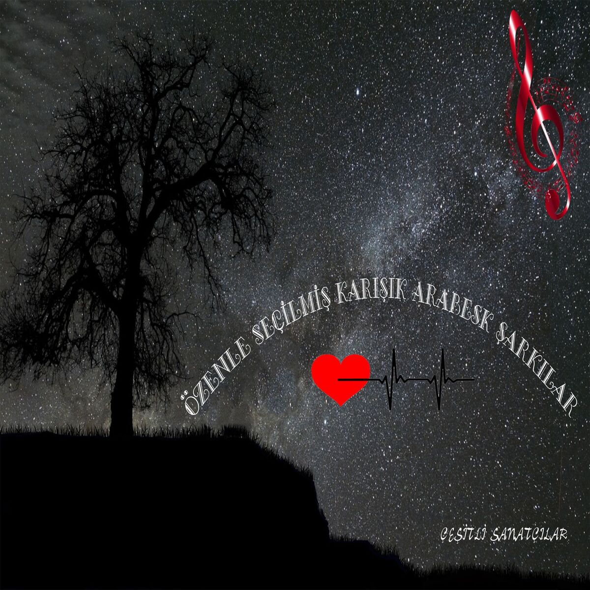 Album cover of Özenle Seçilmiş Karışık Arabesk Şarkılar