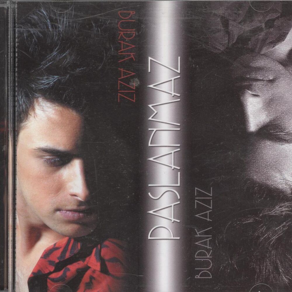 Picture of Paslanmaz