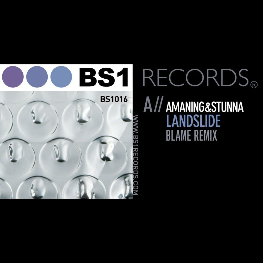 Picture of Landslide (Blame Remix) / Jupiter Rising
