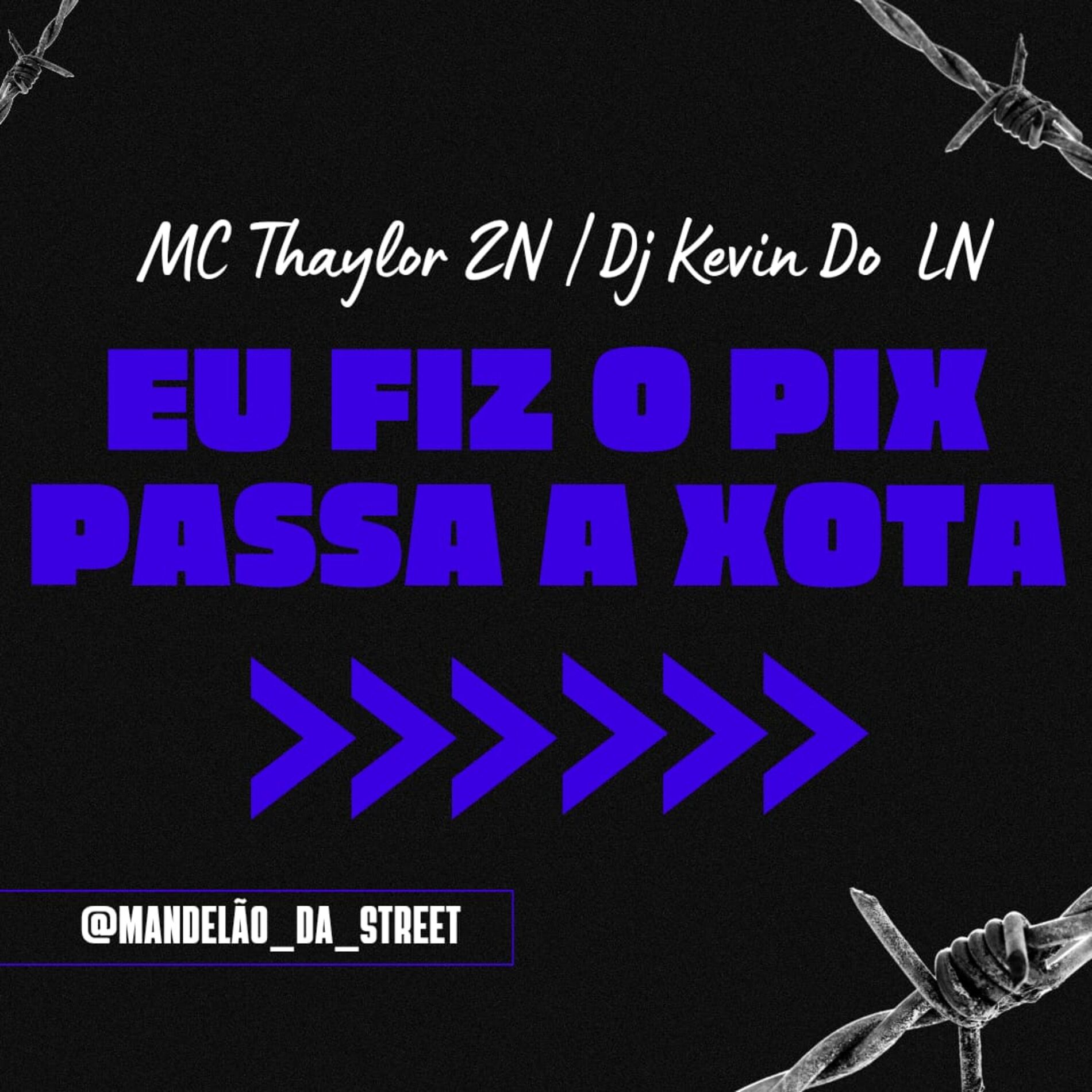 Album cover of Eu Fiz o Pix Passa a Xota