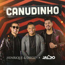Cover of Por você eu bebo o mar de canudinho