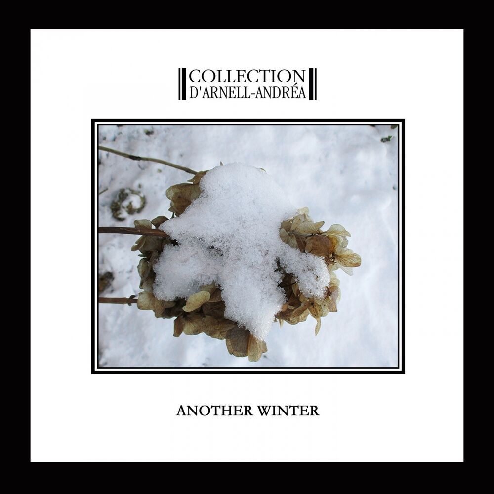 Picture of Another Winter