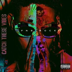 Cover of Catch These Vibes