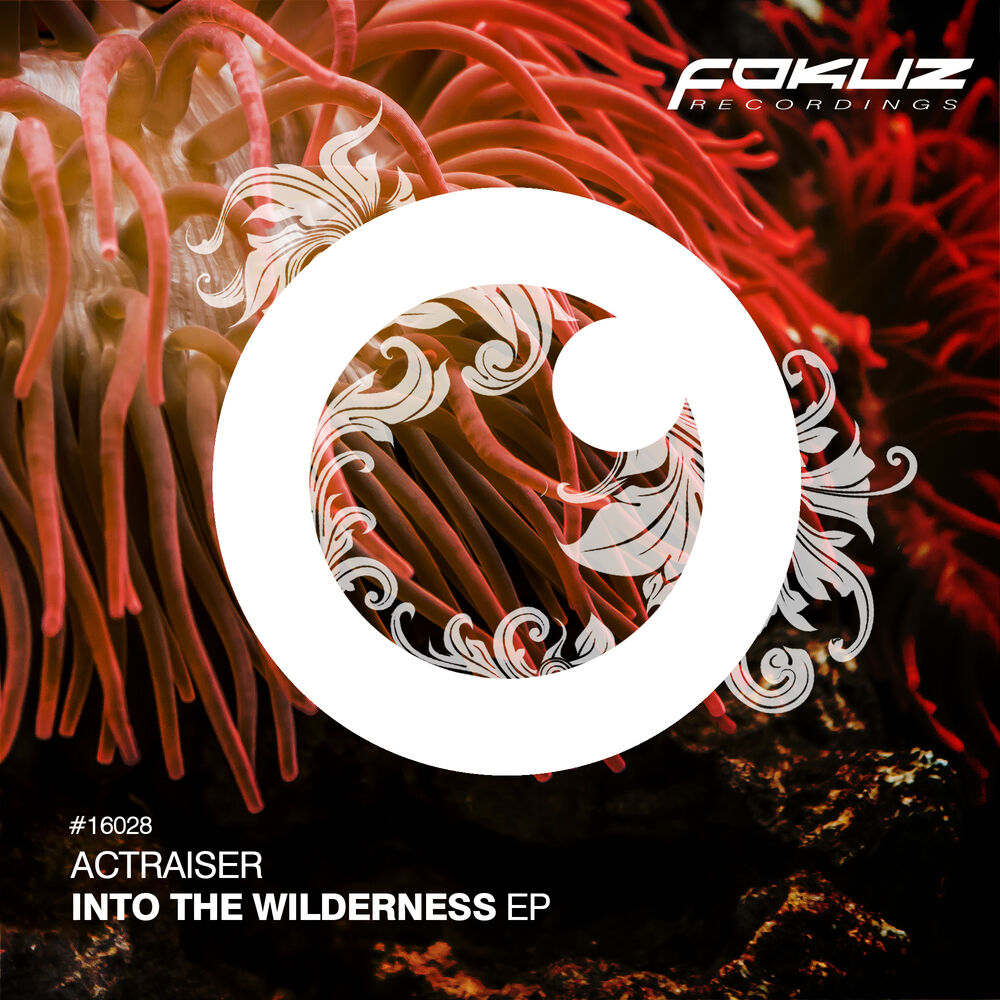 Picture of Into The Wilderness EP