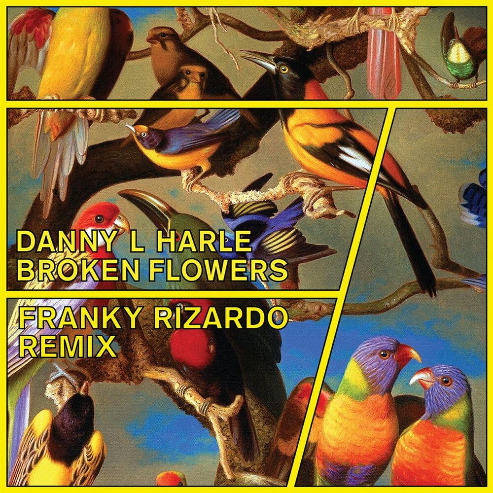 Picture of Broken Flowers (Franky Rizardo Remix)