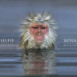 Cover of Selfie
