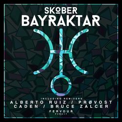 Cover of Bayraktar