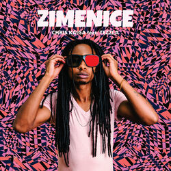 Cover of Zimenice