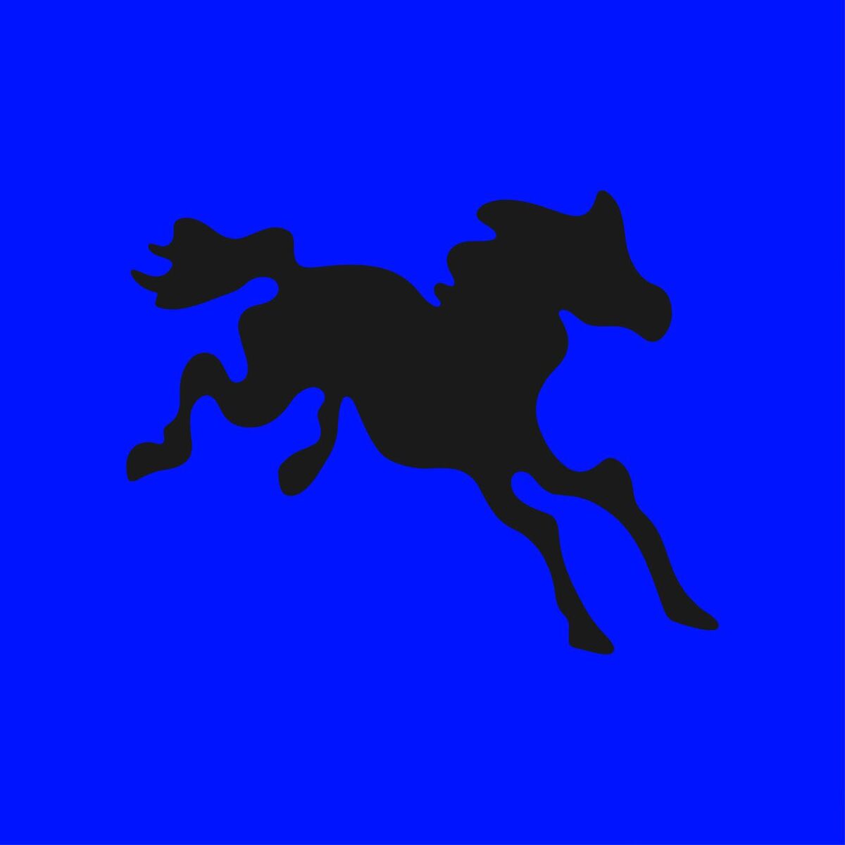 Album cover of CAPRICORNIO