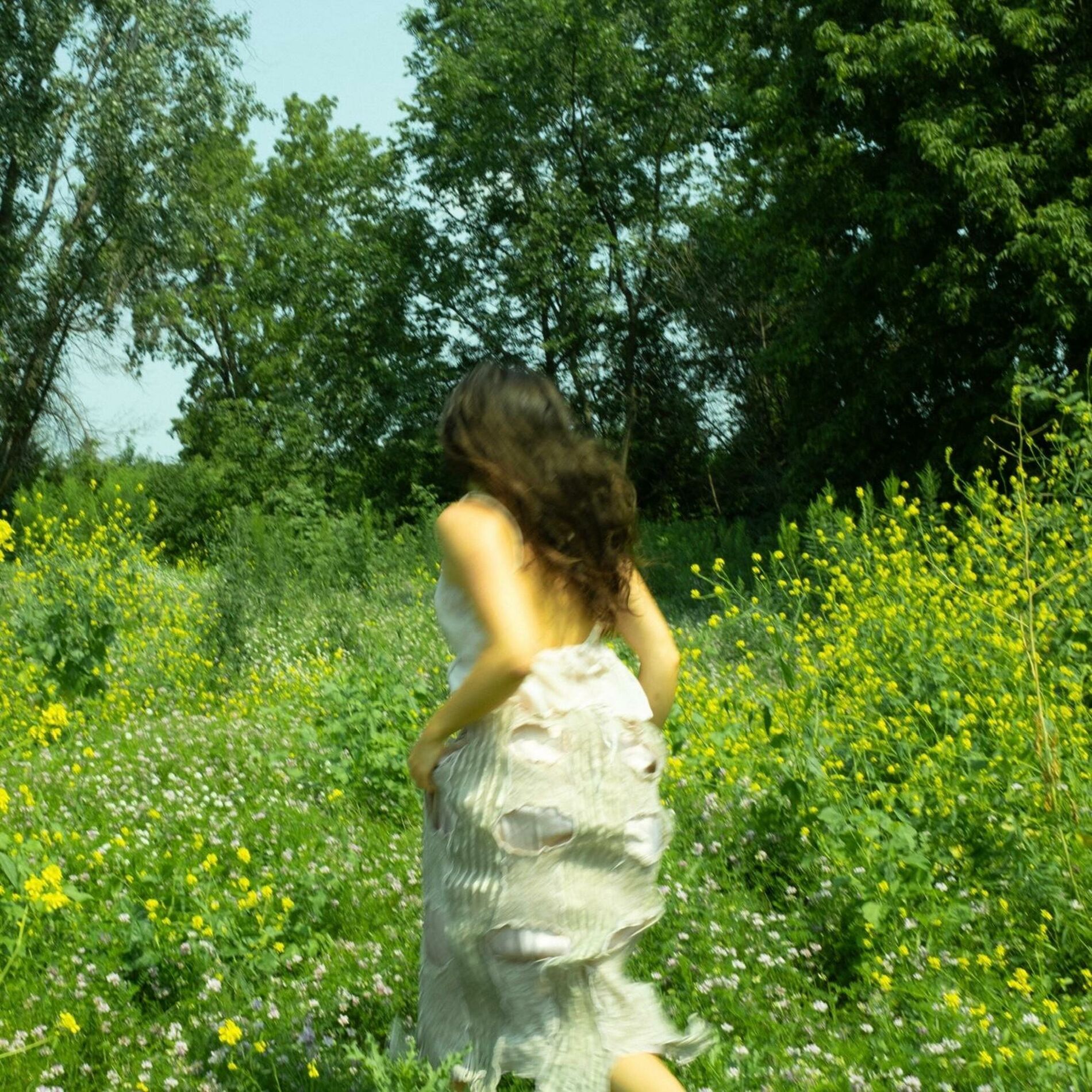 Album cover of morning song