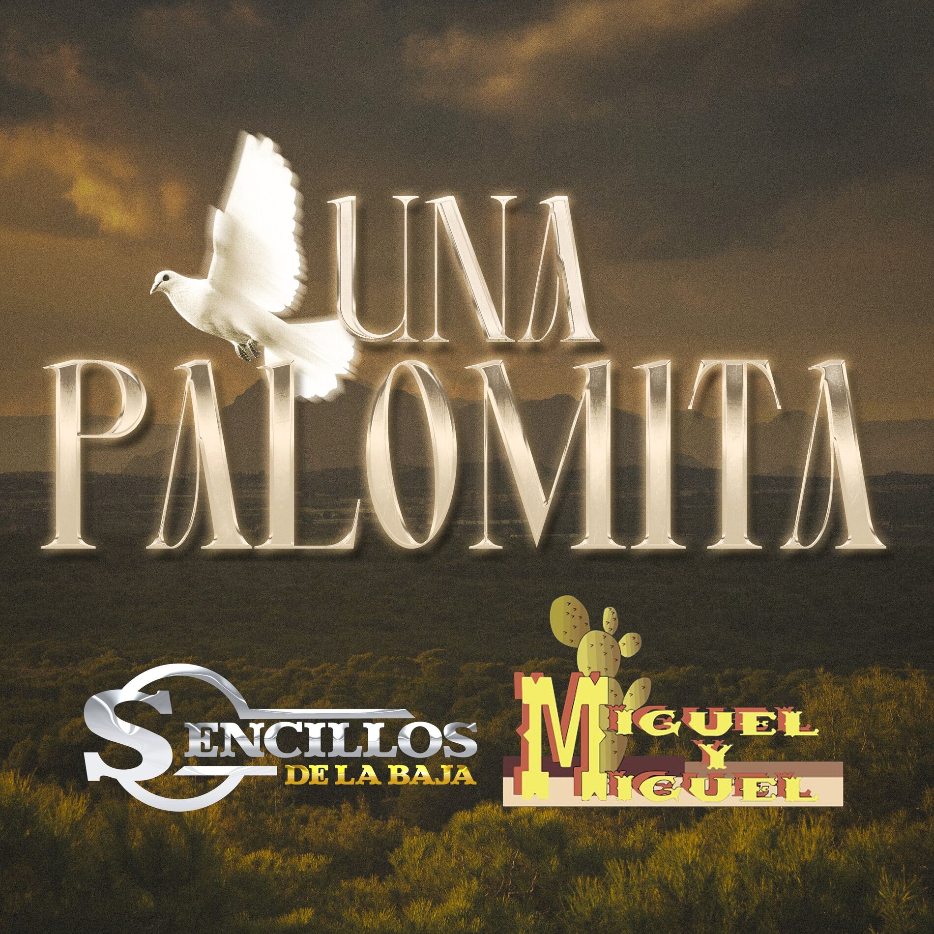 Album cover of Una Palomita