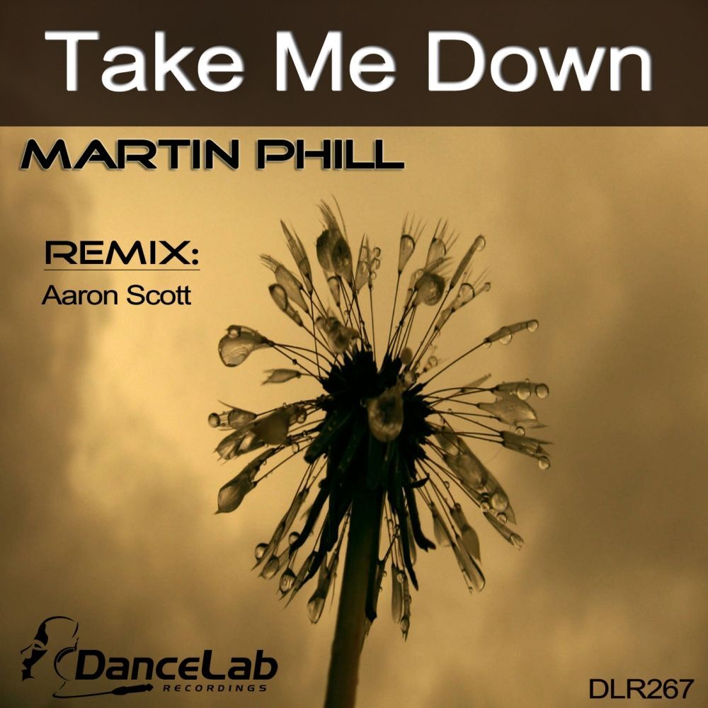 Picture of Take Me Down
