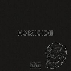 Cover of Homicide