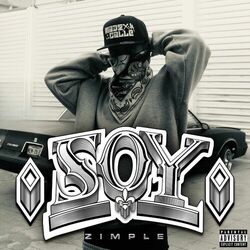 Cover of Soy