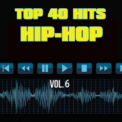 Cover of Top 40 Hits Hip Hop, Vol. 6