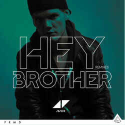 Cover of Hey Brother (Remixes)