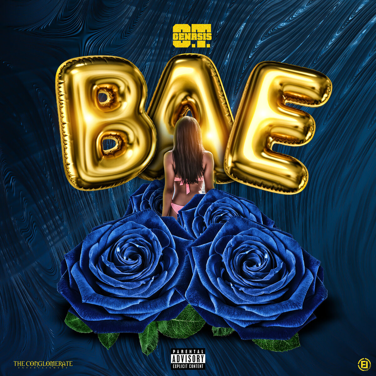 Album cover of Bae